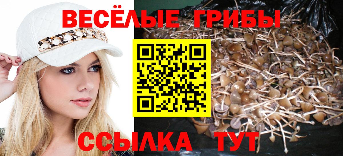 Псилоцибиновые грибы ЛСД  Галлюциногенные грибы GOLDEN TEACHER  Вход с VPN  Вольск 